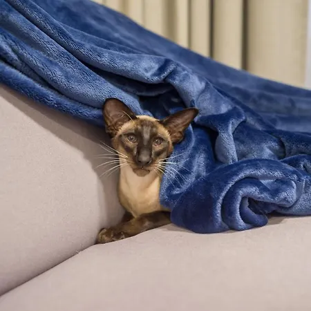 Asian Magnolia Boutique Apartman *