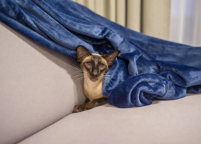 Asian Magnolia Boutique Apartamento *