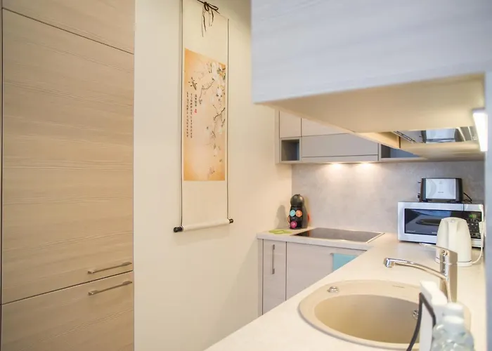 Asian Magnolia Boutique 公寓 *